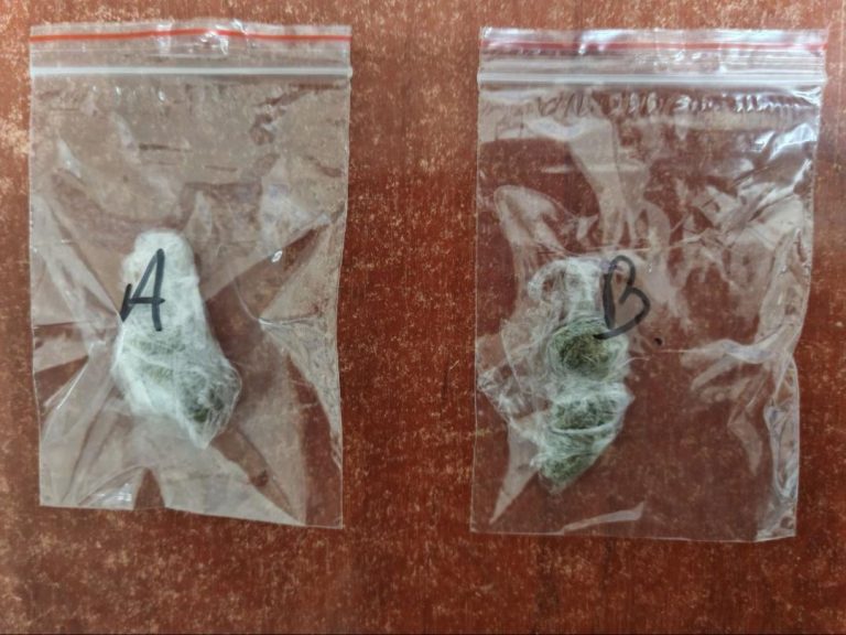 Ζάκυνθος: Ανήλικος και 18χρονος συνελήφθησαν για κατοχή ναρκωτικών