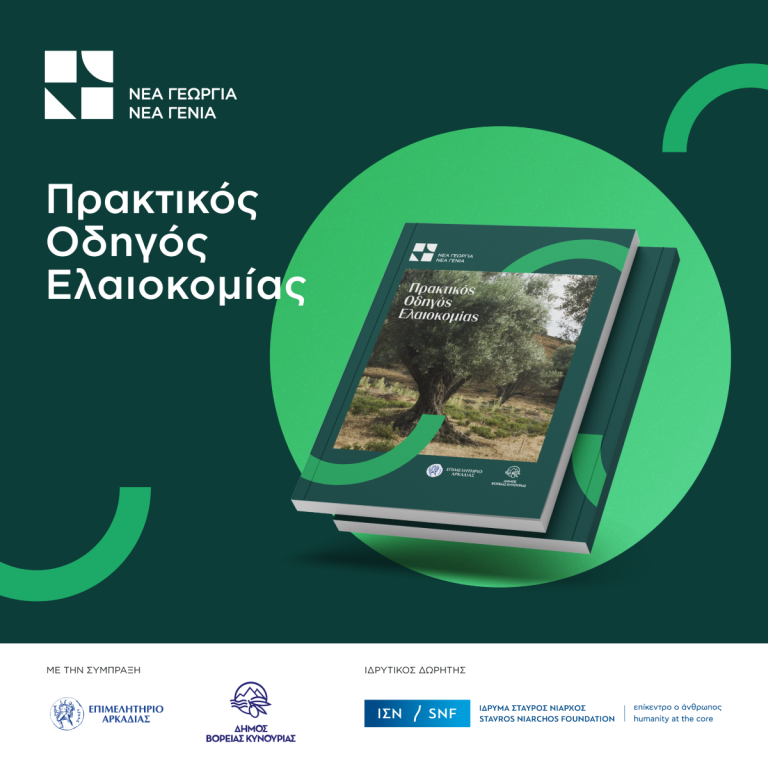 Έτοιμος ο οδηγός ελαιοκομίας από το Επιμελητήριο Αρκαδίας και τον δήμο της Βόρειας Κυνουρίας