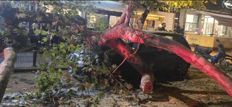 Δέντρο έπεσε πάνω σε ΙΧ σε κεντρικό δρόμο της Θεσσαλονίκης