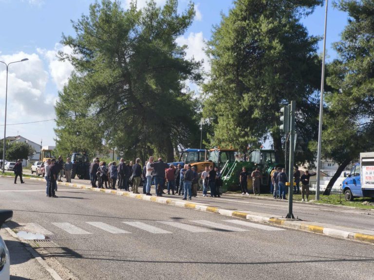 Συλλαλητήριο αγροτών στην Πρέβεζα – Ζητούν άμεσα μέτρα, απόδοση ευθυνών για ΟΠΕΚΕΠΕ και καταβολή των επιδοτήσεων