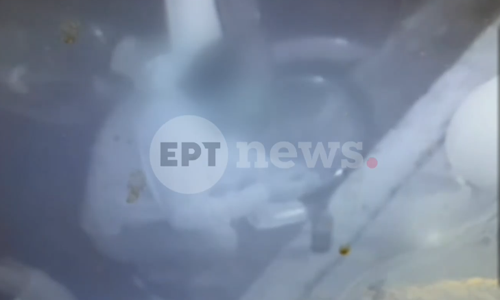 Βίντεο ντοκουμέντο με τον δράστη της επίθεσης σε έγκυο με πιρούνι στο Ψυχικό