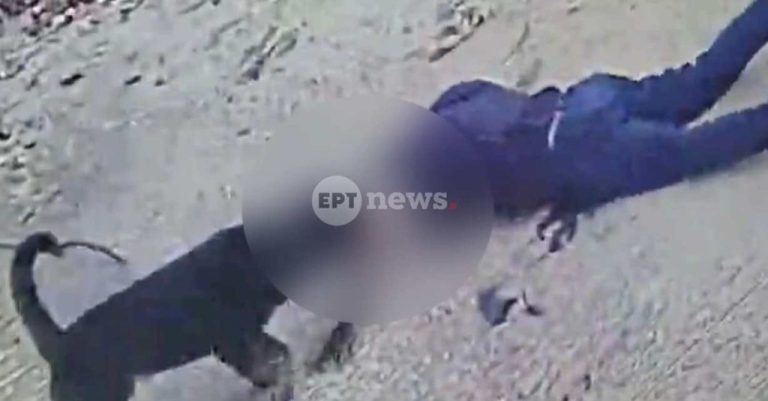 Από την Καλαμάτα μεταφέρεται στο ΚΑΤ σε κρίσιμη κατάσταση ο 76χρονος που του επιτέθηκε ροτβάιλερ