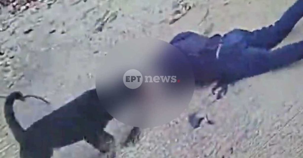 Από την Καλαμάτα μεταφέρεται στο ΚΑΤ σε κρίσιμη κατάσταση ο 76χρονος που του επιτέθηκε ροτβάιλερ