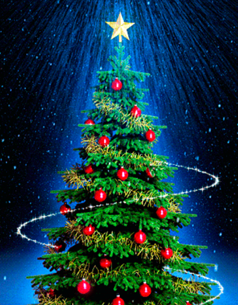 Χαλκιδική: Στον Ταξιάρχη ανάβει το πρώτο χριστουγεννιάτικο δέντρο της Ελλάδας