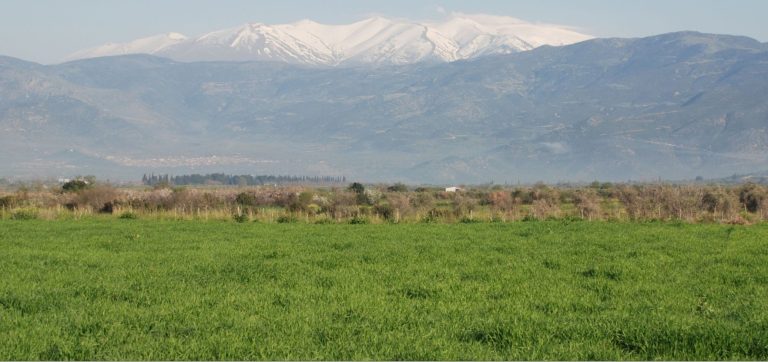 Δήμος Τεμπών: Παρουσιάζονται τα ευρήματα 10ετούς συνεργασίας επιστημόνων για τους προϊστορικούς χρόνους σε Συκούριο – Ελάτεια
