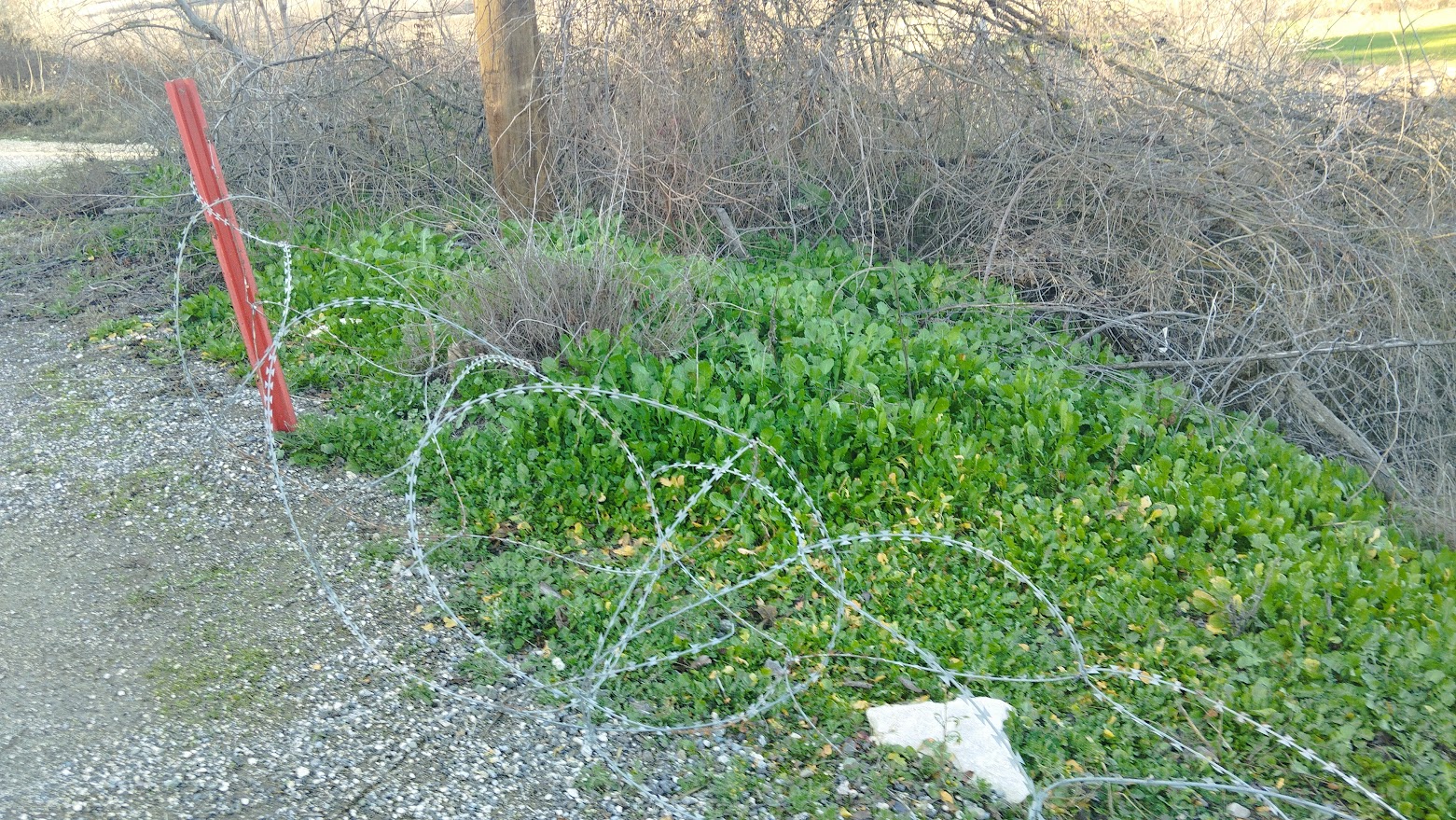 Συνάντηση αντιπροσωπείας του ΚΚΕ με την Ένωση Στρατιωτικών Έβρου – Στο επίκεντρο το πολυνομοσχέδιο του YΠ.ΕΘ.Α.