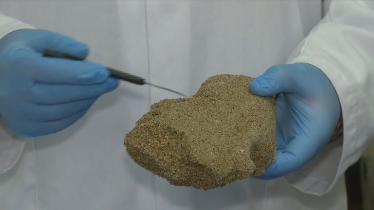 Nature4Nature: Ο τεχνοβλαστός του ΕΚΠΑ κατέκτησε την 1η θέση σε διαγωνισμό καινοτομίας για την προστασία των ακτών από τη διάβρωση