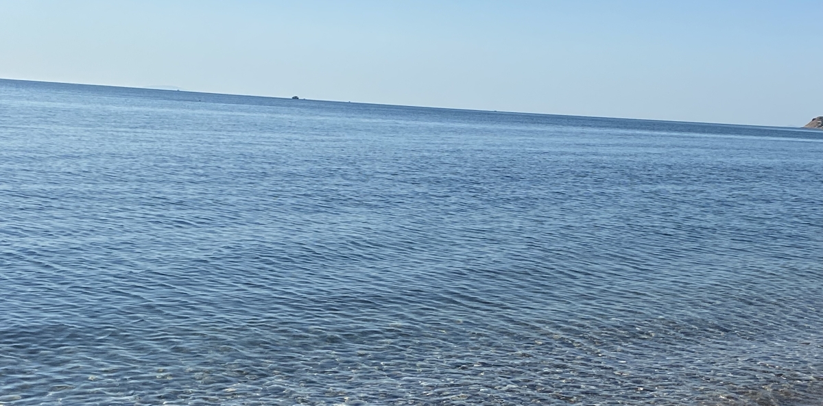 thalasa