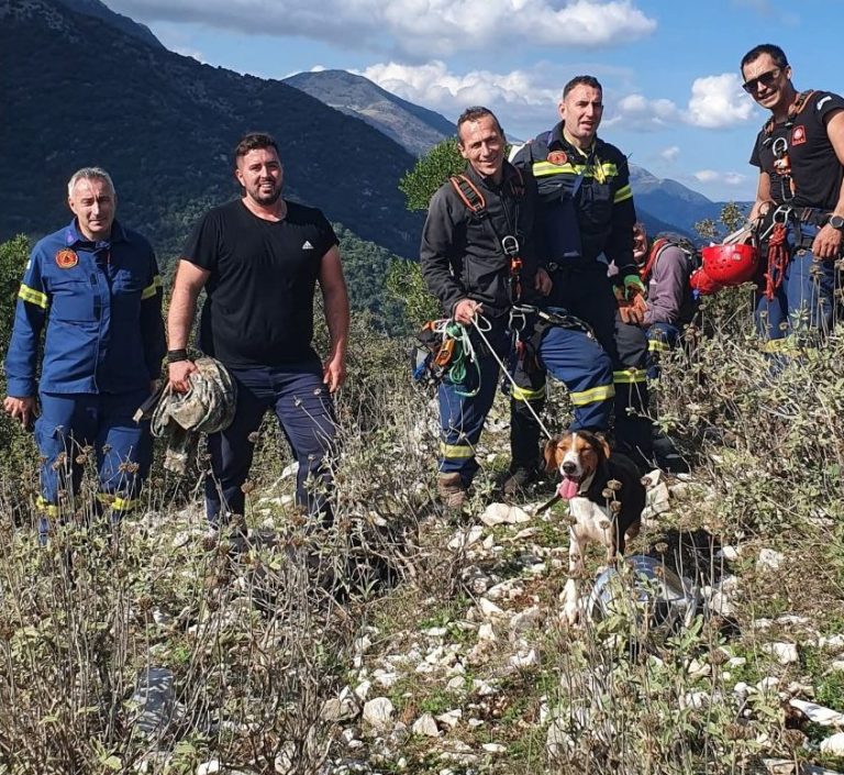 Συγκλονιστική διάσωση τριών σκύλων από χαράδρα στο φαράγγι του Καλαμά