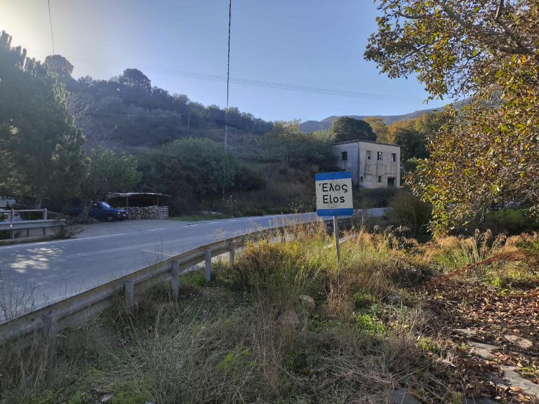 Κρήτη: Στον Εισαγγελέα οδηγείται αύριο ο 23χρονος για τη δολοφονία του ξαδέλφου στο πανηγύρι στην Κίσσαμο