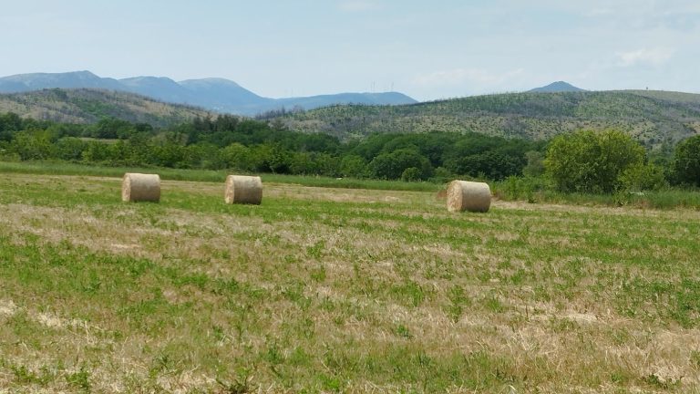 Στην ψηφιακή εποχή οδηγεί την εκτατική κτηνοτροφία το Δημοκρίτειο Πανεπιστήμιο Θράκης – Το 1ο Εθνικό Εργαστήριο στη Δαδιά