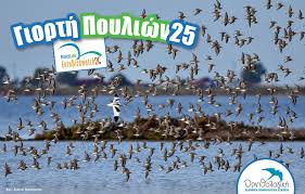 Γιορτή πουλιών στη λίμνη Κερκίνη