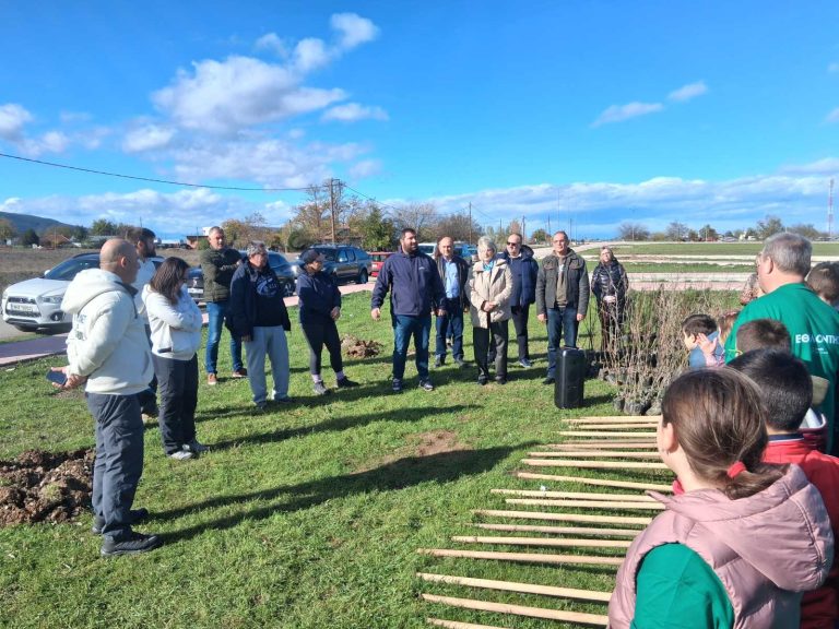 Φάρσαλα: Δενδροφύτευση με τη συμμετοχή μαθητών και φορέων της πόλης