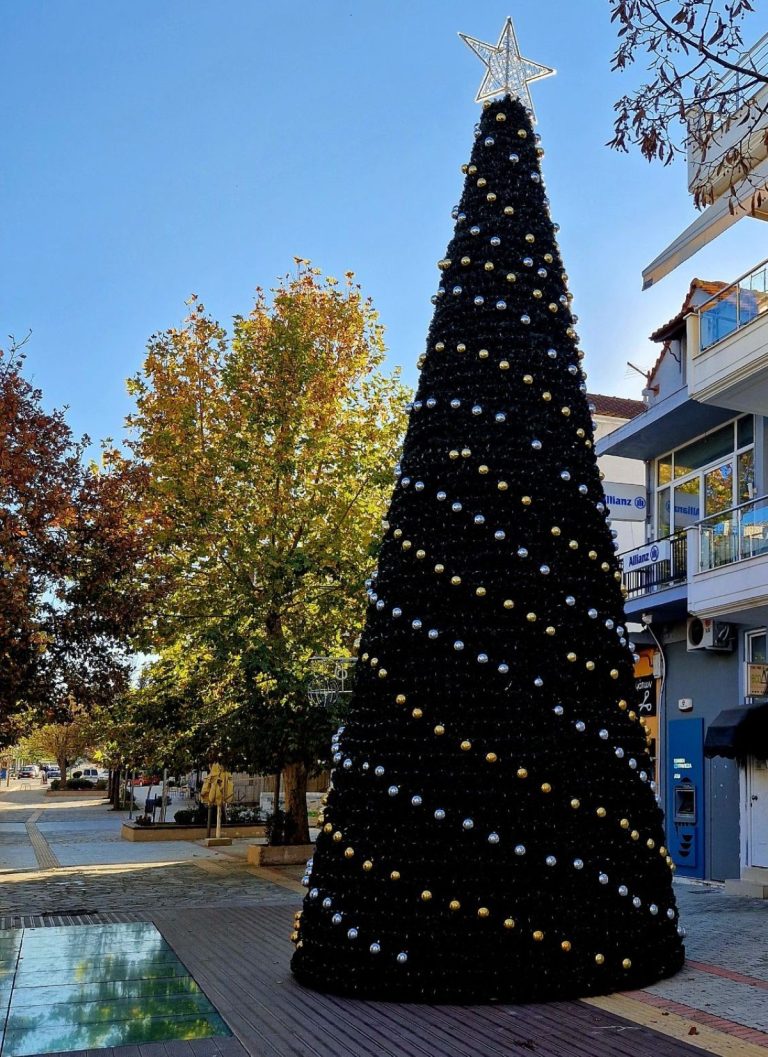 Δήμος Ρήγα Φεραίου: Εορταστικό κλίμα με φωταγωγήσεις, δράσεις για παιδιά και το «Βασίλειο των Χριστουγέννων»