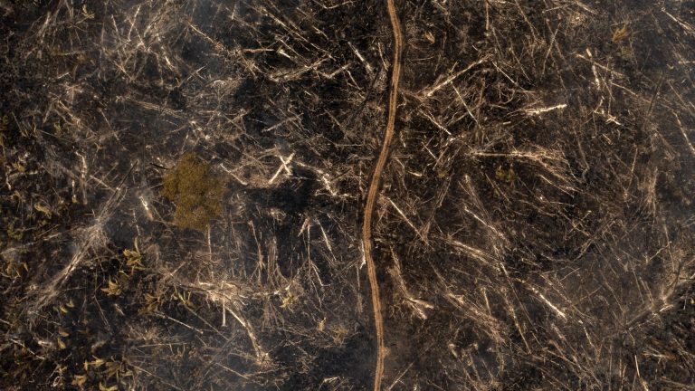 Ο αέρας στην καρδιά του Αμαζονίου είναι πιο μολυσμένος από ό,τι στο Πεκίνο ή τη Νέα Υόρκη, αποκαλύπτει μελέτη