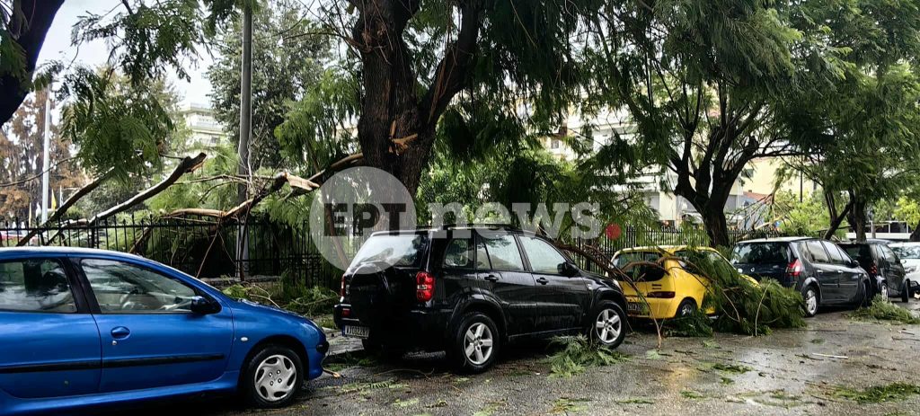 Πρωτοφανές σκηνικό με ισχυρούς ανέμους στην Πάτρα – Κλαδιά δέντρων σωριάστηκαν μέσα σε λίγα δευτερόλεπτα πάνω σε αυτοκίνητα