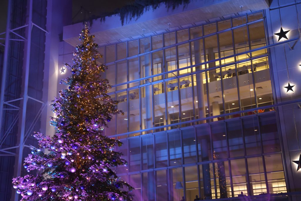 Εντυπωσιακή η χριστουγεννιάτικη φωταγώγηση του Ιδρύματος Σταύρος Νιάρχος