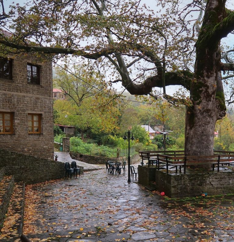 Ζαγόρι: Σοβαρά προβλήματα στην ηλεκτροδότηση μετά την κακοκαιρία, προκαλούν διαμαρτυρίες