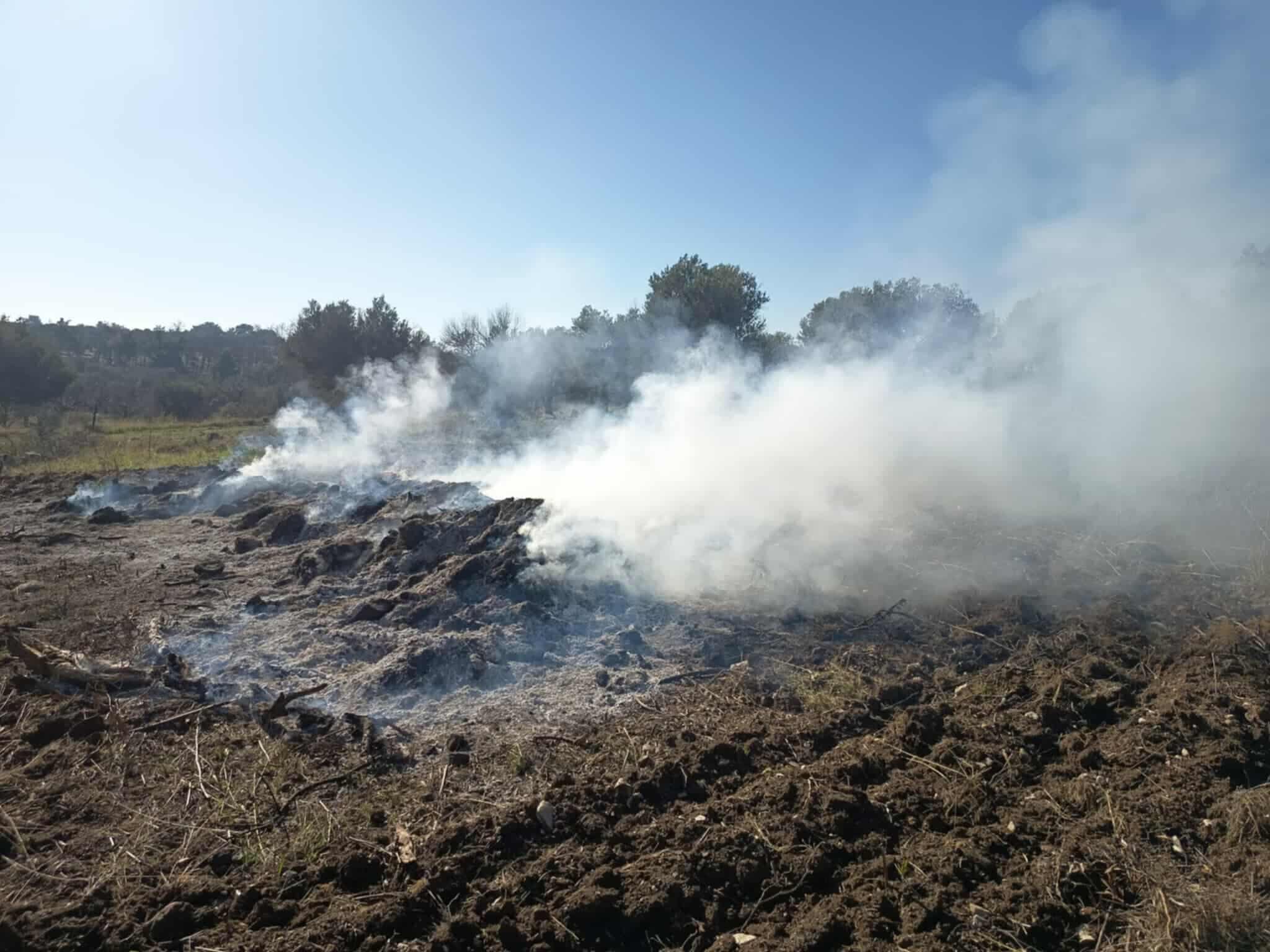 582076348-1142208097892934-2328423595751219657-n