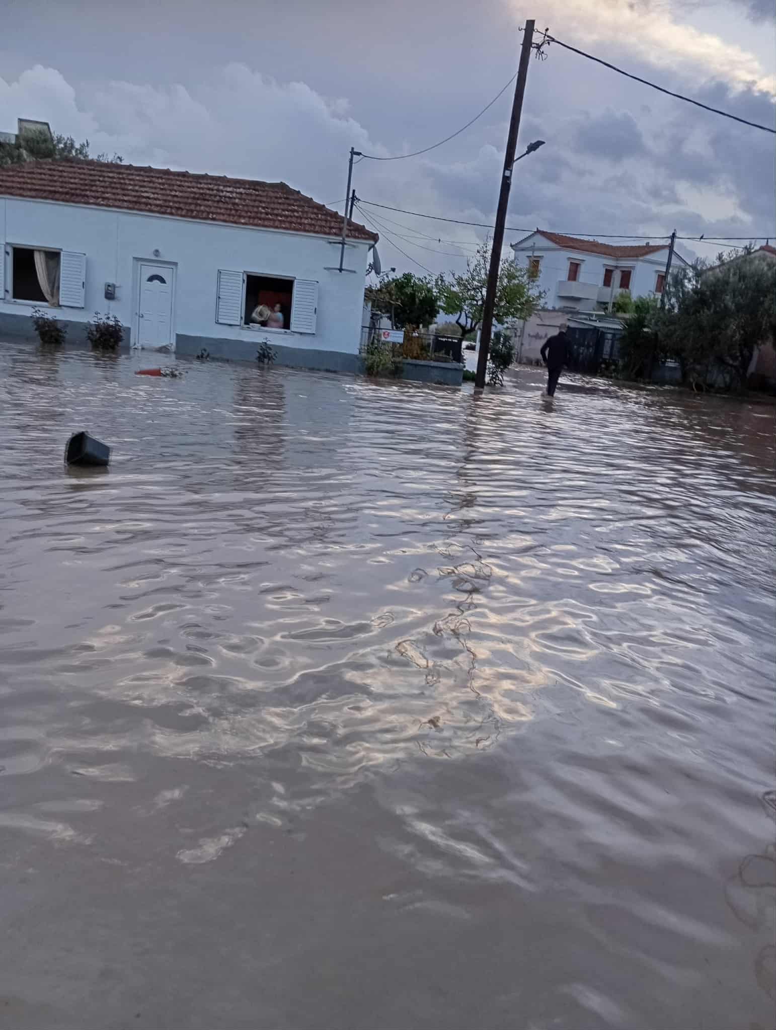 582099402-1379732823553076-3334412898222970861-n-1