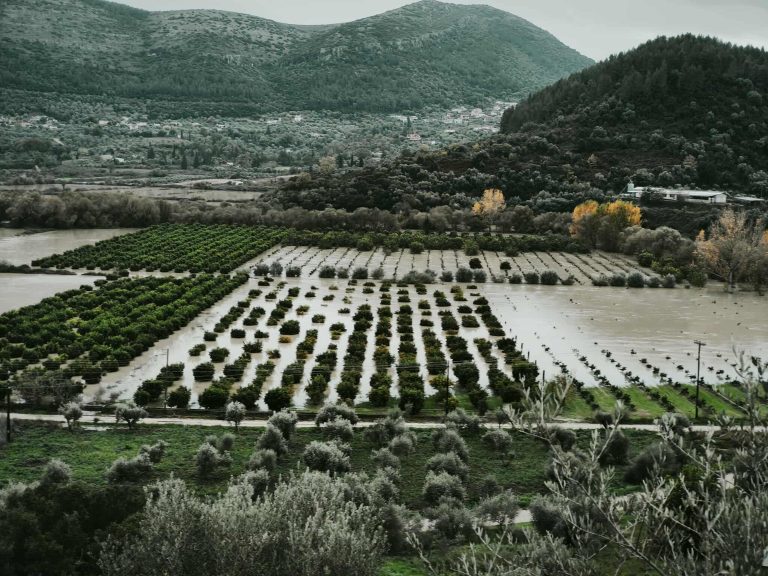 Αίτημα για κήρυξη έκτακτης ανάγκης της βόρειας Κέρκυρα – Εικόνες καταστροφής στη Θεσπρωτία