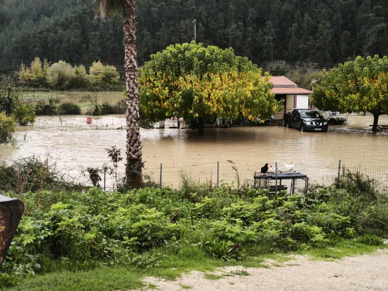 Καλλιέργειες βουτηγμένες σε τόνους λάσπης στους Φιλιάτες Θεσπρωτίας – Σοκάρει η εικόνα από κάτοικο που προσπαθεί να σώσει τα κατοικίδιά του