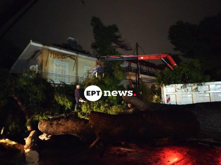 Προβλήματα από τη σφοδρή καταιγίδα στην Αττική: Πτώσεις δέντρων στην Κηφισιά – Πού θα βρέξει τις επόμενες ώρες
