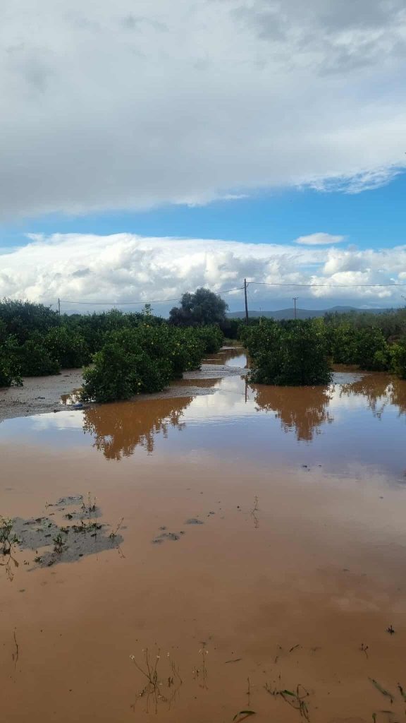 H κακοκαιρία Αdel χτύπησε τη Λακωνία: Η λάσπη «κατάπιε» αυτοκίνητο – Από «θαύμα» σώθηκε οδηγός