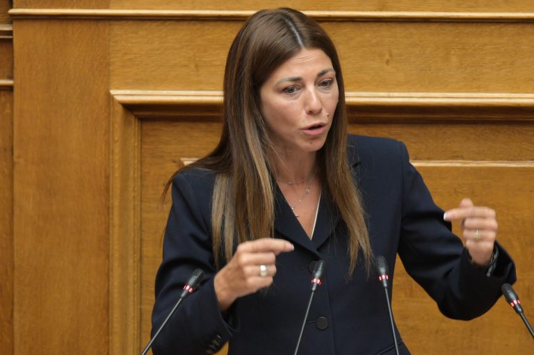 Σ. Ζαχαράκη: Τη Δευτέρα ψυχολόγοι στα Βορίζια