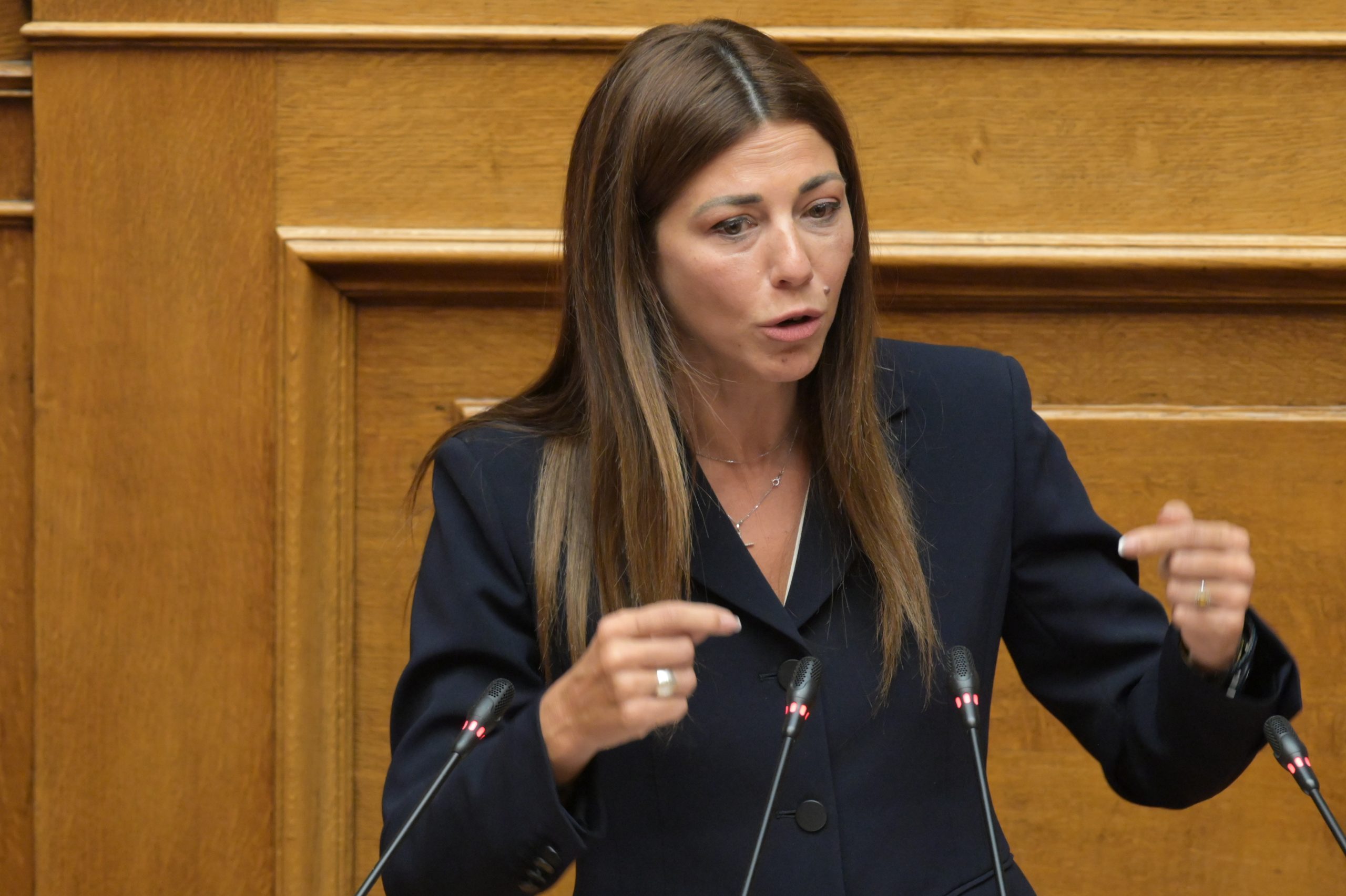 Σ. Ζαχαράκη: Τη Δευτέρα ψυχολόγοι στα Βορίζια