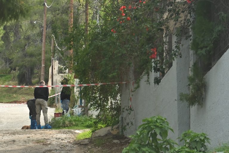 Σαλαμίνα: Πώς οι Αρχές έφτασαν στα ίχνη της 46χρονης που λήστεψε και σκότωσε την πεθερά της