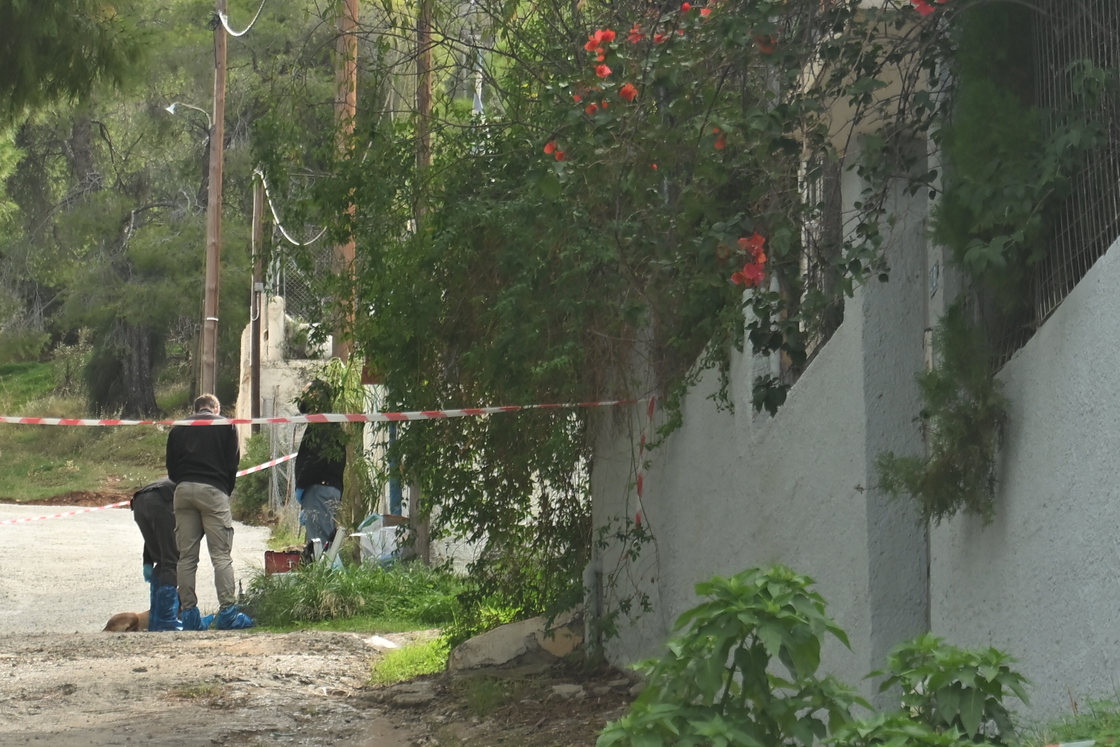 Σαλαμίνα: Πώς οι Αρχές έφτασαν στα ίχνη της 46χρονης που λήστεψε και σκότωσε την πεθερά της