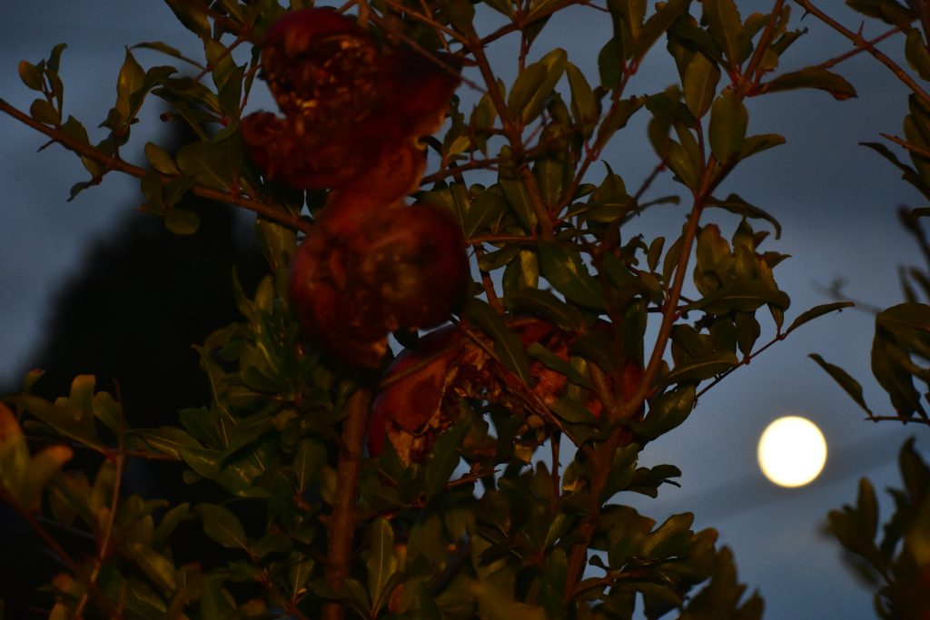 Πανσέληνος Νοεμβρίου 2025: Η πιο φωτεινή υπερπανσέληνος των τελευταίων έξι χρόνων στον ουρανό