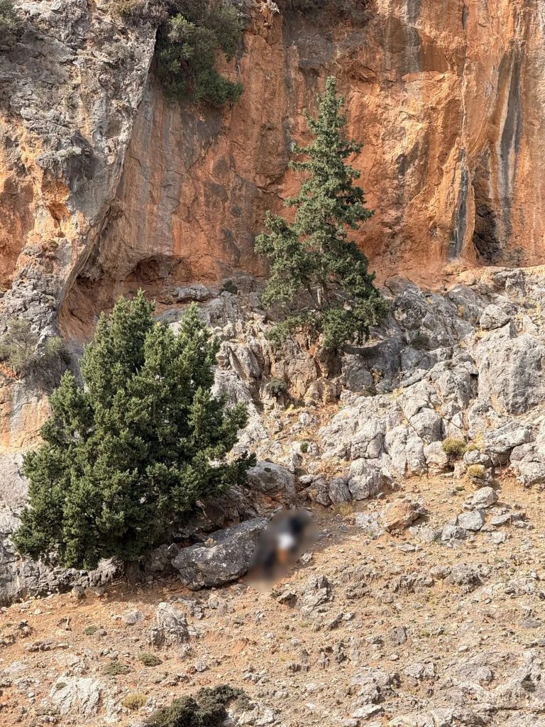 Ποιος τράβηξε την σκανδάλη που σκότωσε την 56χρονη – Στο μικροσκόπιο της ΕΛ.ΑΣ το βίντεο – ντοκουμέντο με τους πυροβολισμούς με καλάσνικοφ στα Βορίζια