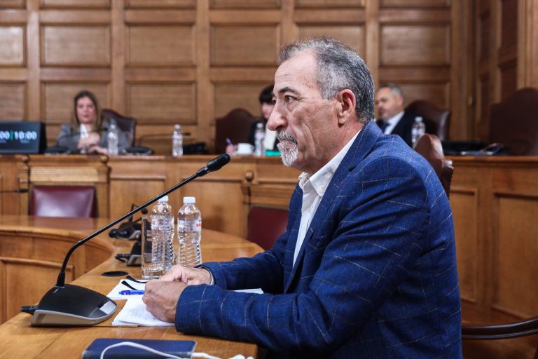 ΟΠΕΚΕΠΕ: Κατάθεση Γ. Αποστολάκη και Γ. Κέντρου στην Εξεταστική Επιτροπή