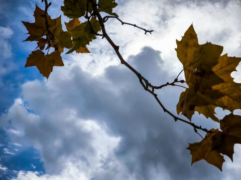 Πένθος στο Νότιο Πήλιο για τον θάνατο του Προέδρου της Τ.Κ. Πινακατών, Ν. Παππά