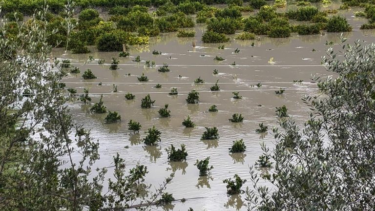 Κακοκαιρία: Ήχησε το «112» στα Ιωάννινα