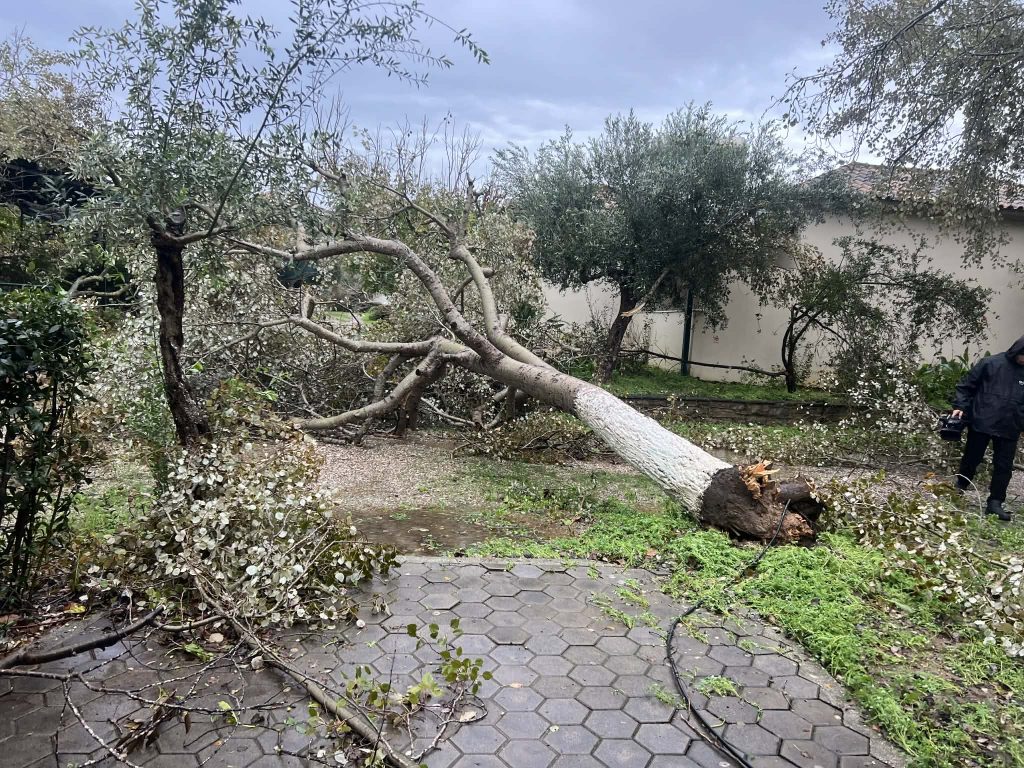 Εικόνες «βιβλικής» καταστροφής από ανεμοστρόβιλο που έπληξε τη Φοινικούντα