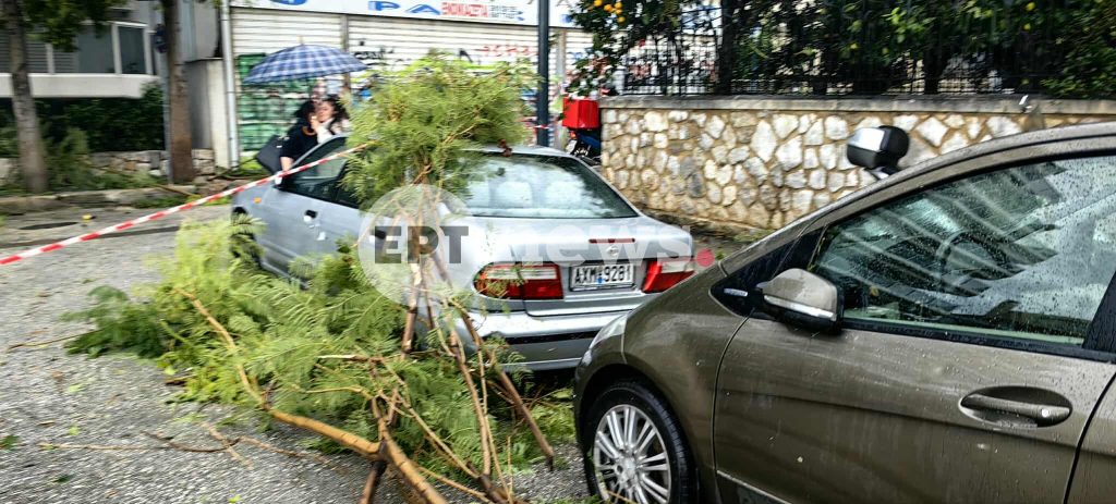 Πρωτοφανές σκηνικό με ισχυρούς ανέμους στην Πάτρα – Κλαδιά δέντρων σωριάστηκαν μέσα σε λίγα δευτερόλεπτα πάνω σε αυτοκίνητα