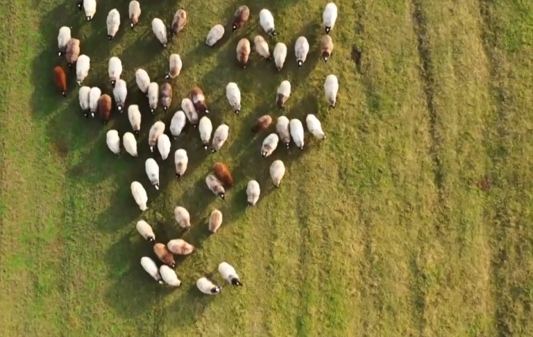 Συσκέψεις αγροτών και κτηνοτρόφων για τα μπλόκα