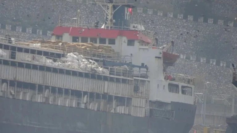 Tουλάχιστον 58 αγελάδες πέθαναν και 140 γέννησαν πάνω σε ένα πλοίο που τις μετέφερε στην Τουρκία