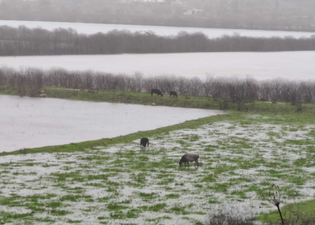 Στο «μάτι» της κακοκαιρίας η Θεσπρωτία: Ισχυροί άνεμοι με βροχή σαρώνουν την περιοχή – Μια απέραντη λίμνη ο κάμπος στην Παραμυθιά