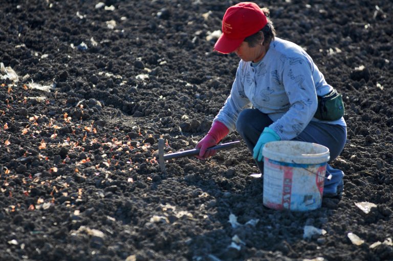 Χρηματικό βοήθημα 138.100 ευρώ σε 183 τρίτεκνες και 10 πολύτεκνες αγρότισσες μητέρες