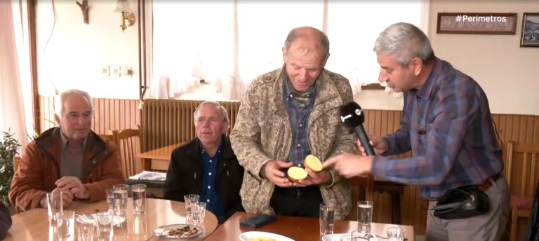 Άκρη Ελασσόνας: Η καλλιέργεια πατάτας που κρατά τους κατοίκους στον τόπο τους