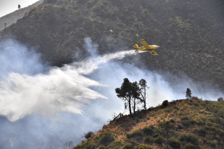 Αλγερία: Πάνω από 17 δασικές πυρκαγιές σε 7 επαρχίες – Εκκενώσεις κατοίκων