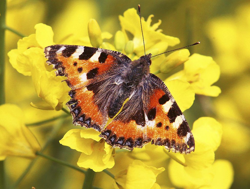 Αφήνοντας πίσω τον παλιό μας εαυτό για «να γίνουμε αυτό που είμαστε»