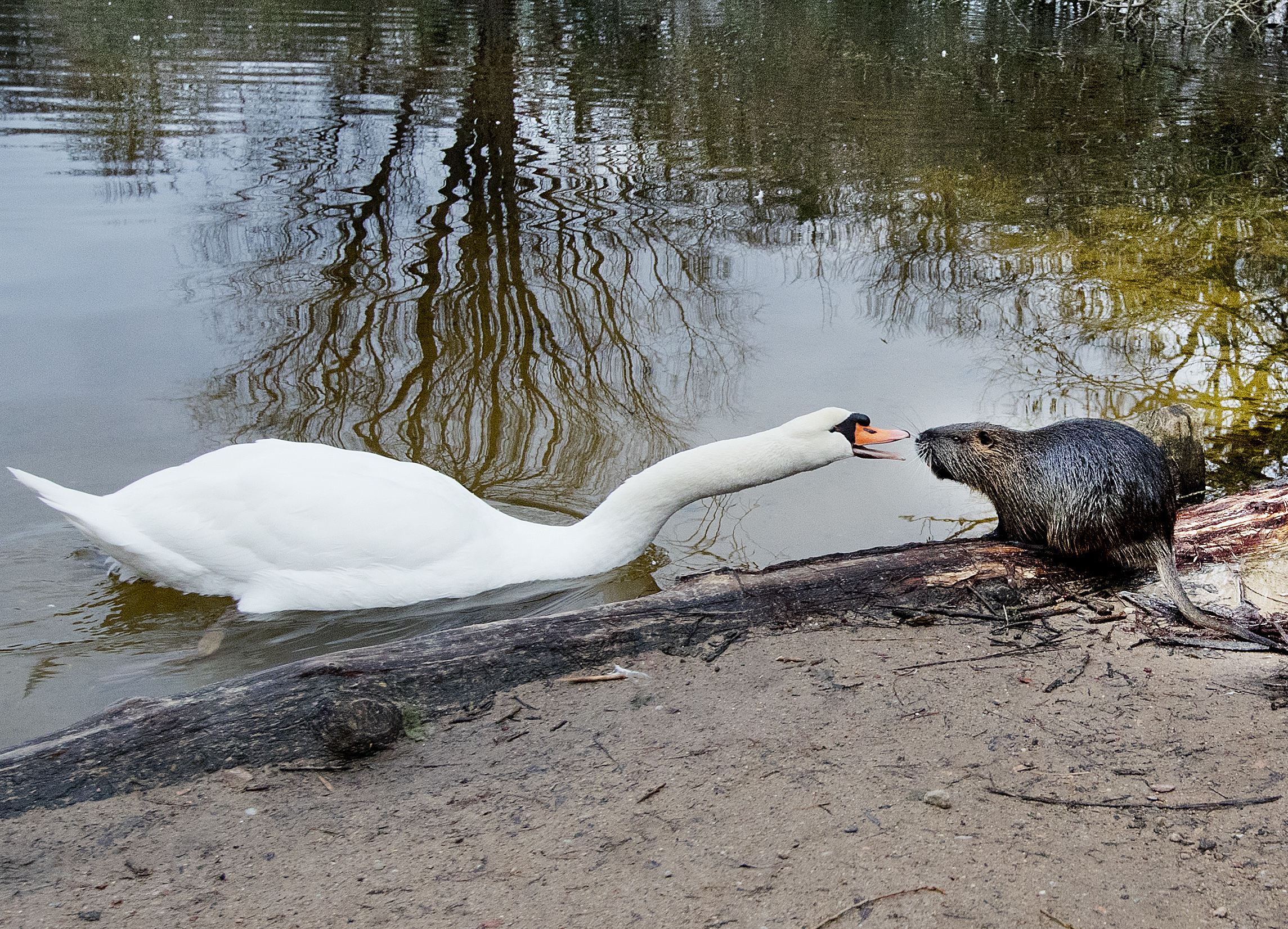 Λίγο πριν το τέλος- 9 αλλαγές που μπορούν να σώσουν μια σχέση