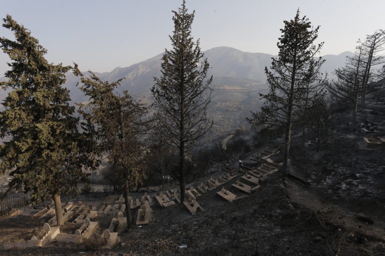 Aλγερία: Έρευνα για τις 55 πυρκαγιές που κατέκαψαν εκατοντάδες στρέμματα δάσους