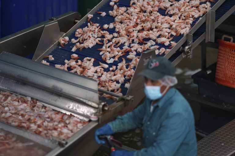 Η Κίνα αναστέλλει τις εισαγωγές θαλασσινών από την Ιαπωνία