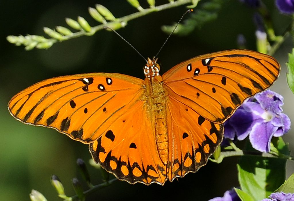 Αφήνοντας πίσω τον παλιό μας εαυτό για «να γίνουμε αυτό που είμαστε»